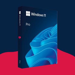Windows 11 Pro