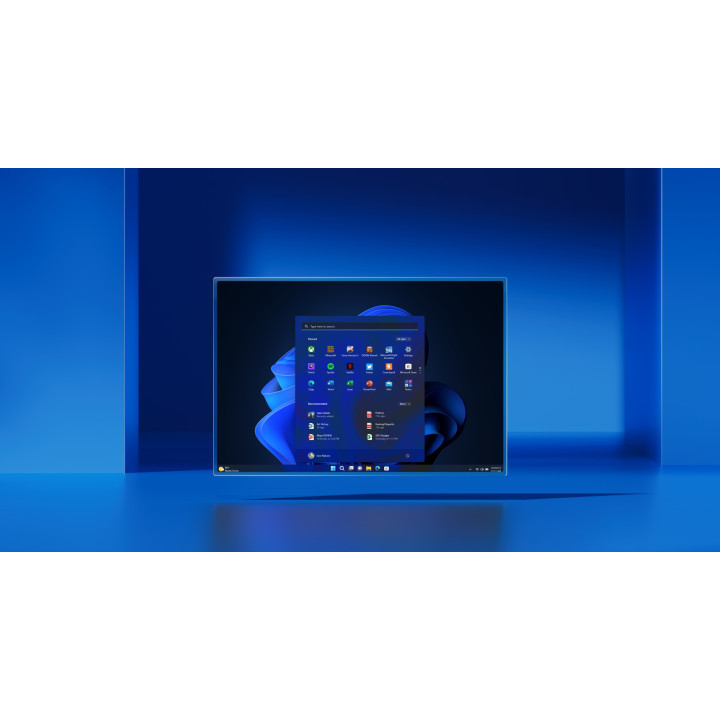 Windows 11 Pro